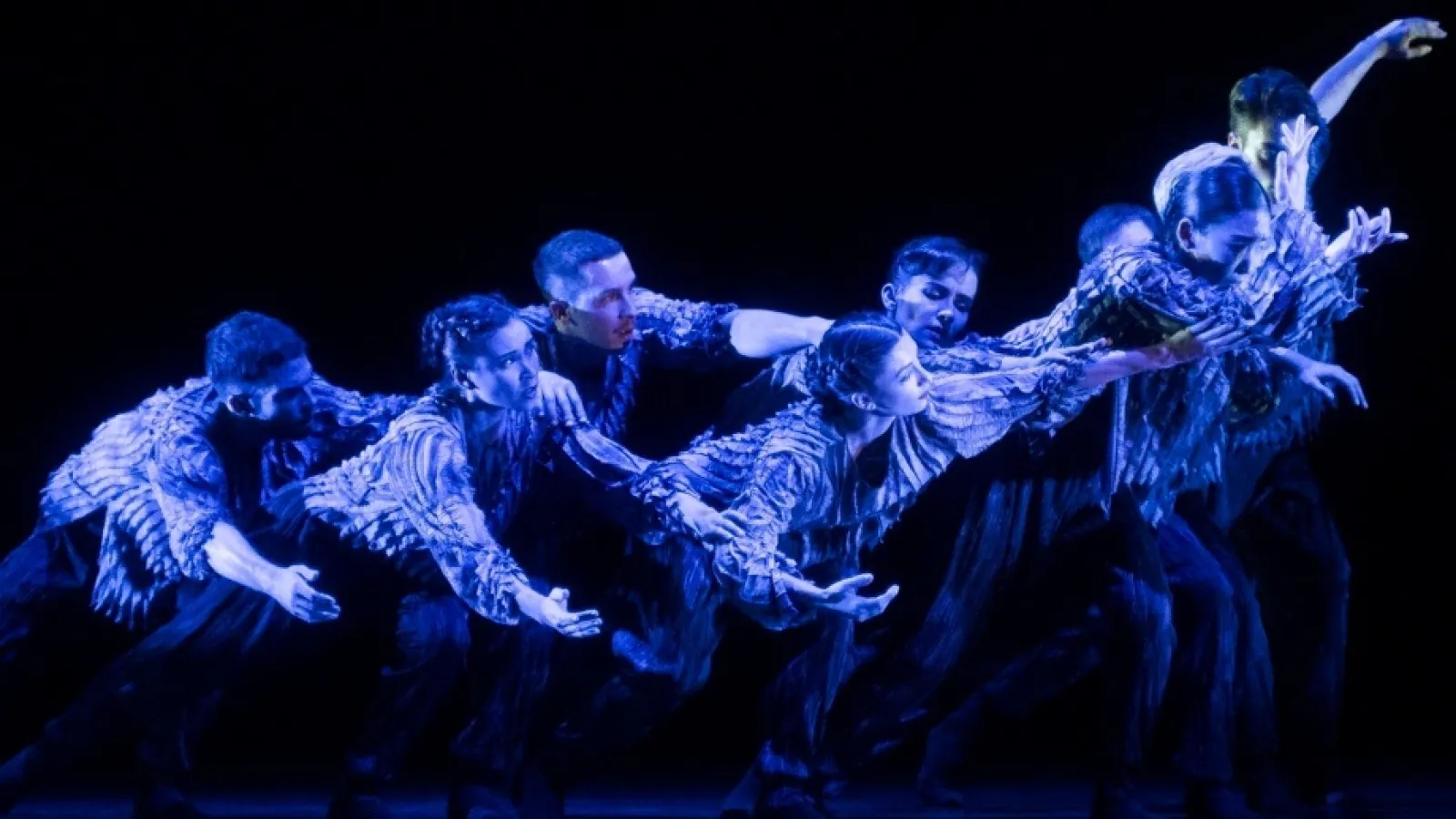 The Butterfly Effect Video Thumbnail