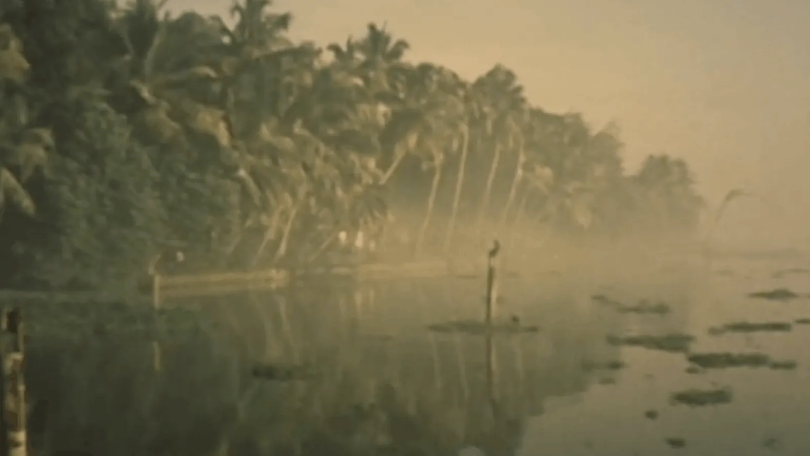 Backwaters Video Thumbnail