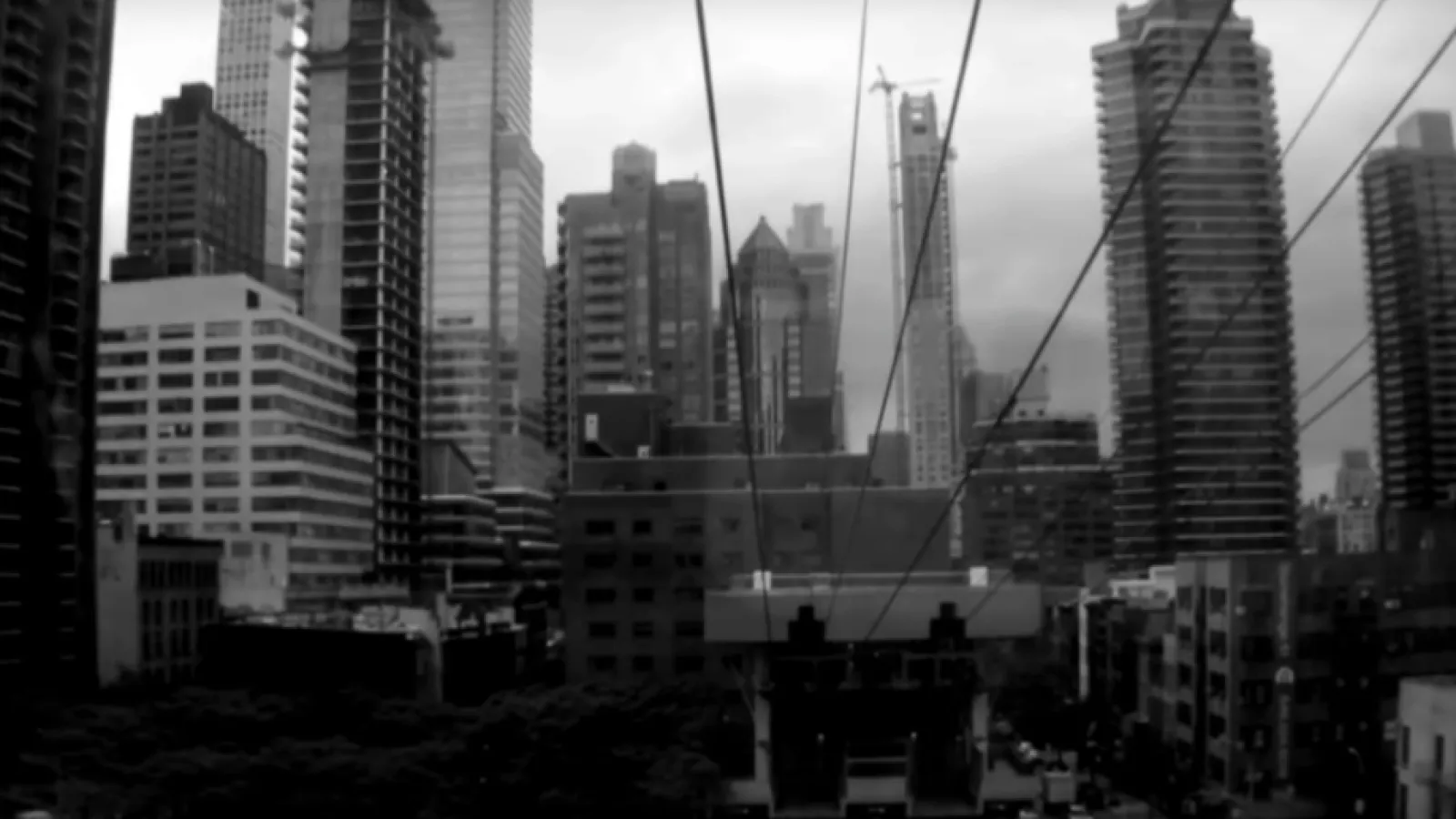 Penguin Cafe - Chapter (Music Video) Video Thumbnail