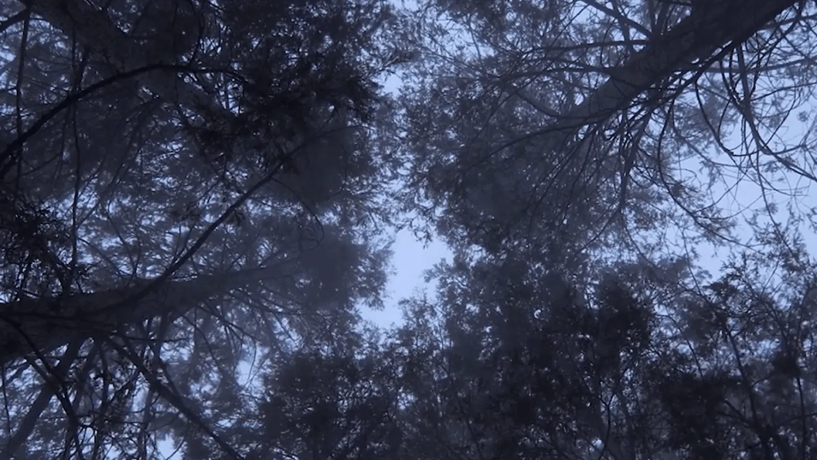 Ash Thorpe Short - Edifice Video Thumbnail