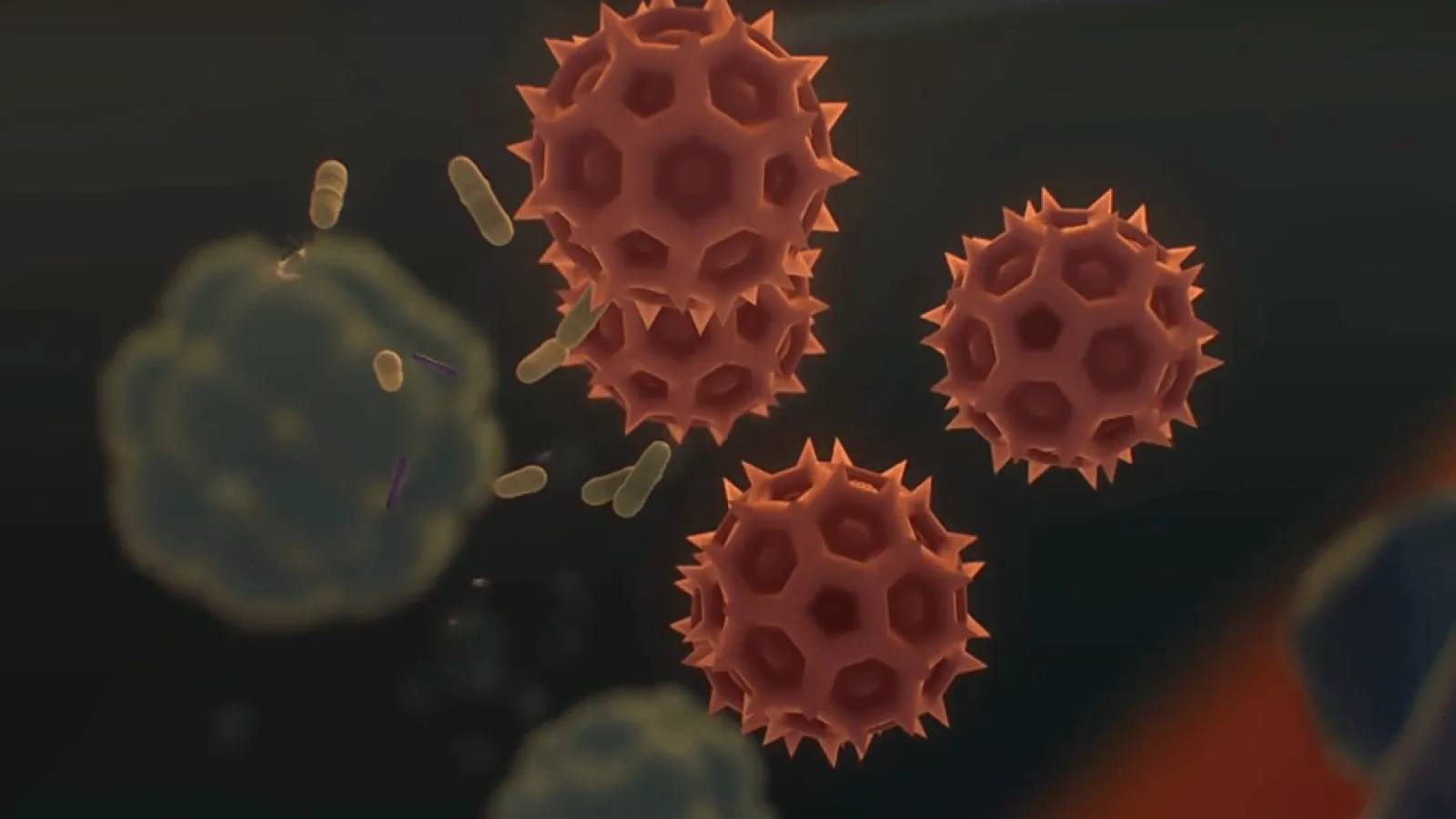 Everything - We're Here Video Thumbnail