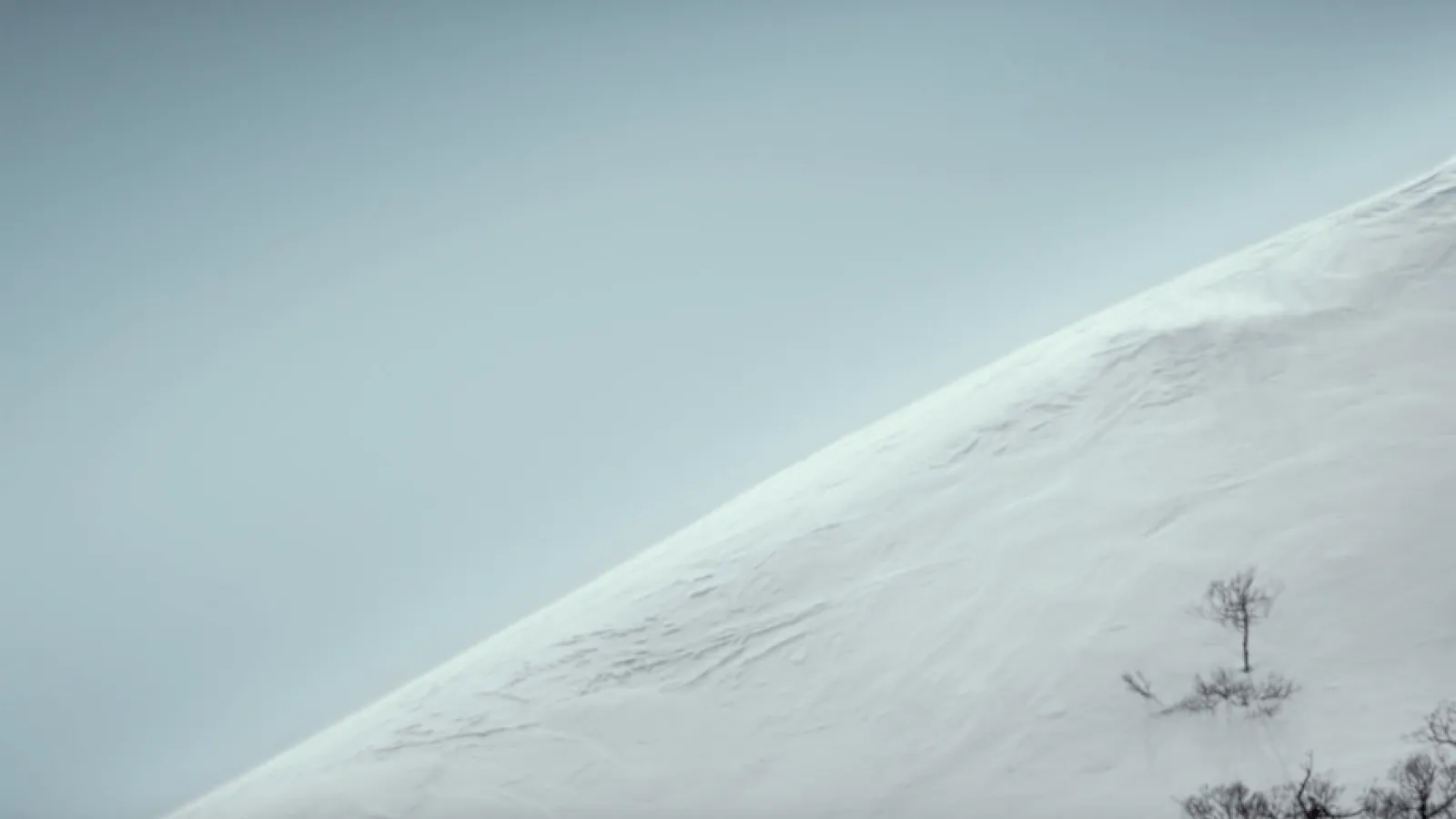 Goldwin Video Thumbnail