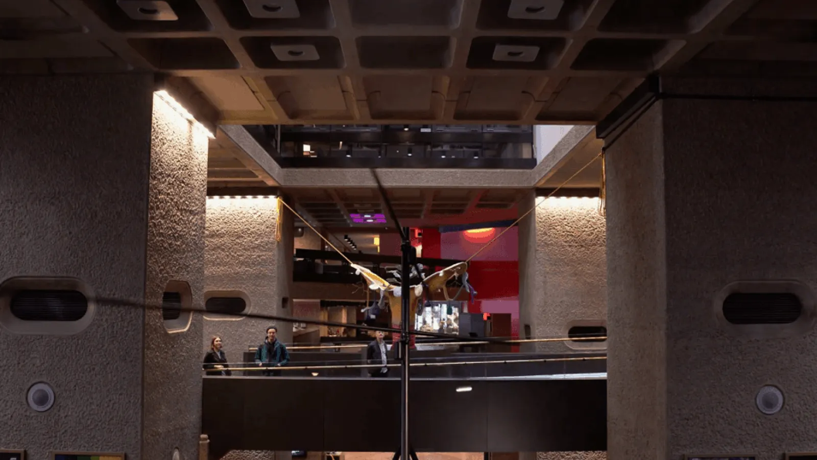 Possibly Colliding: an installation by FELD Video Thumbnail