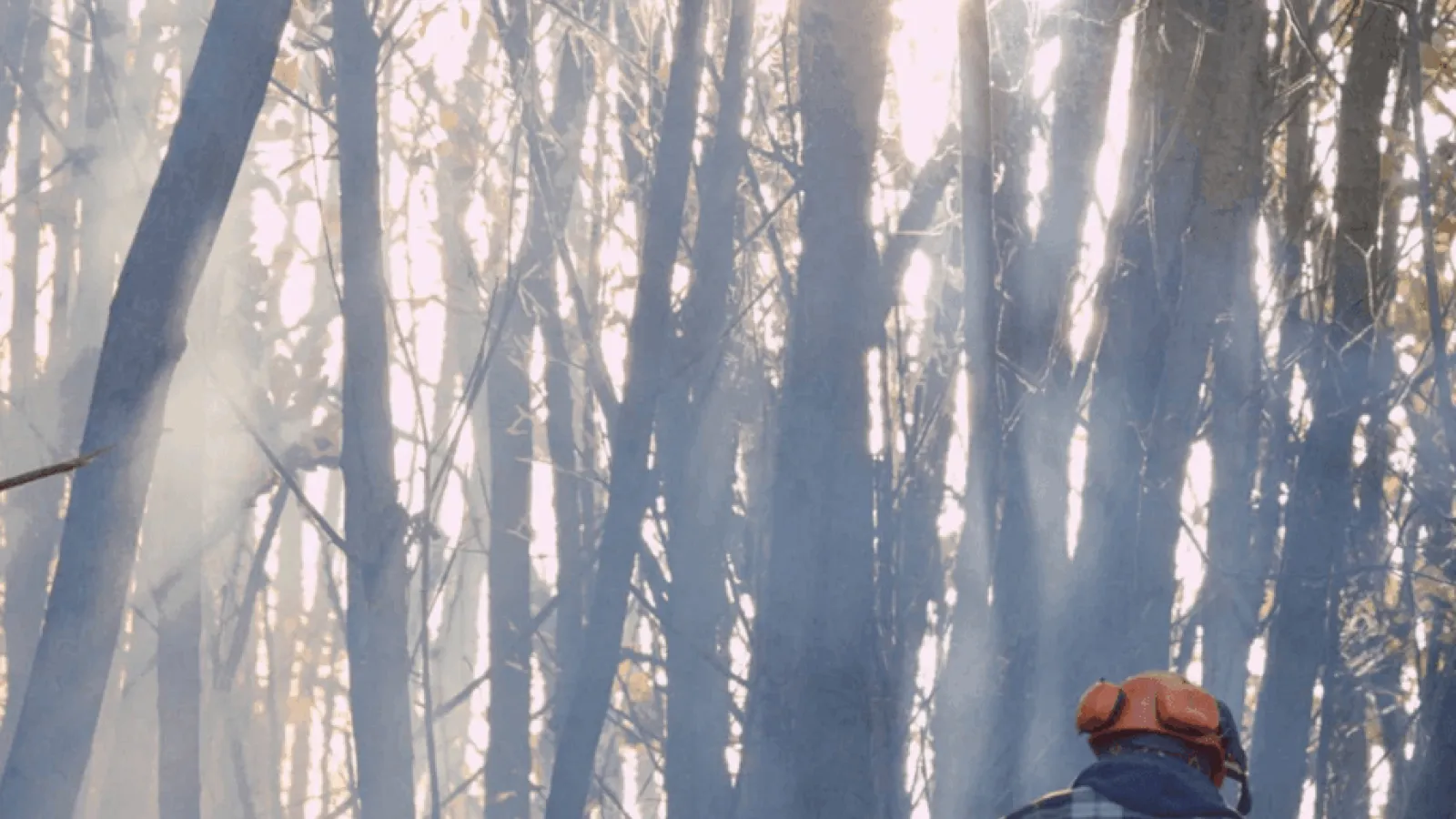 Scottish Widows - Life Feels Better When You Have A Plan (Directors Cut) Video Thumbnail