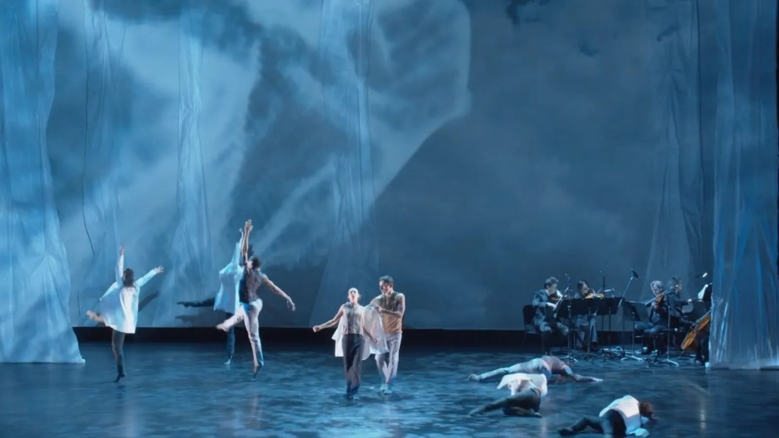 Nimbus Bam Fisher Video Thumbnail