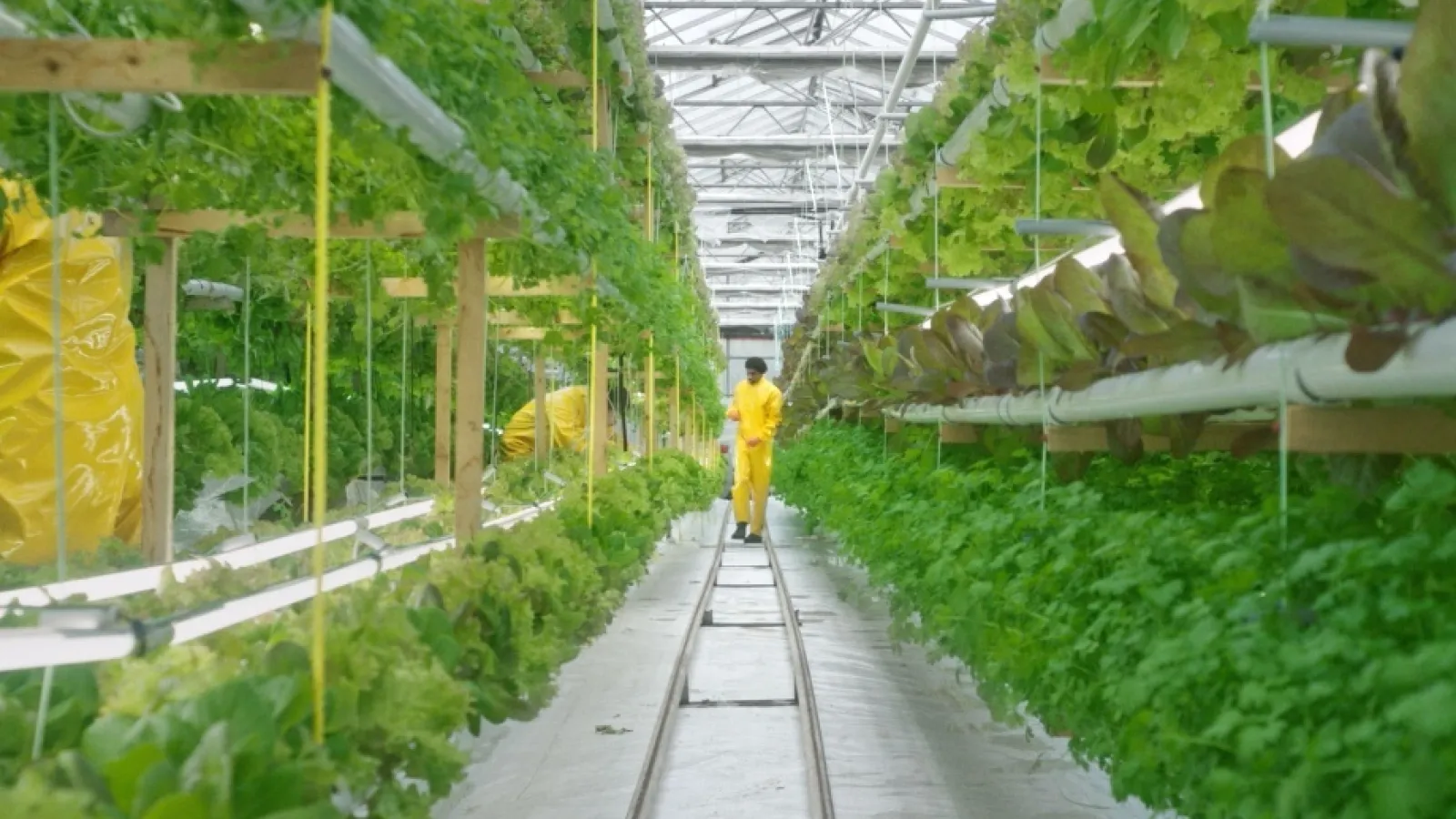 HUBRIS Video Thumbnail