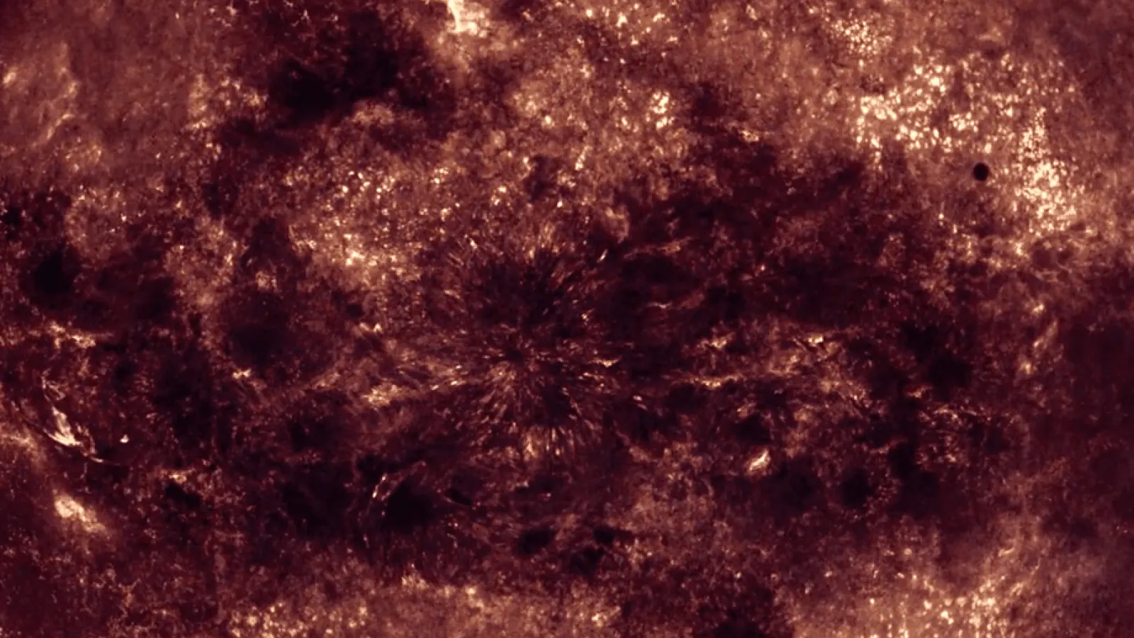 Sundays Video Thumbnail