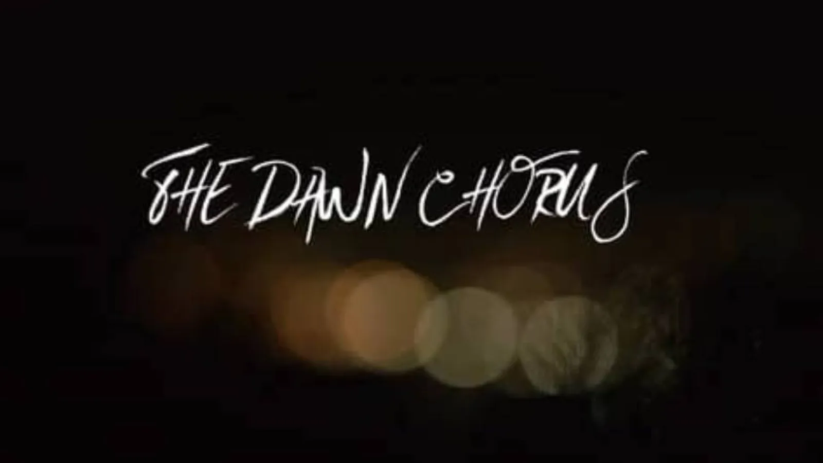 The Dawn chorus (excerpt) Video Thumbnail