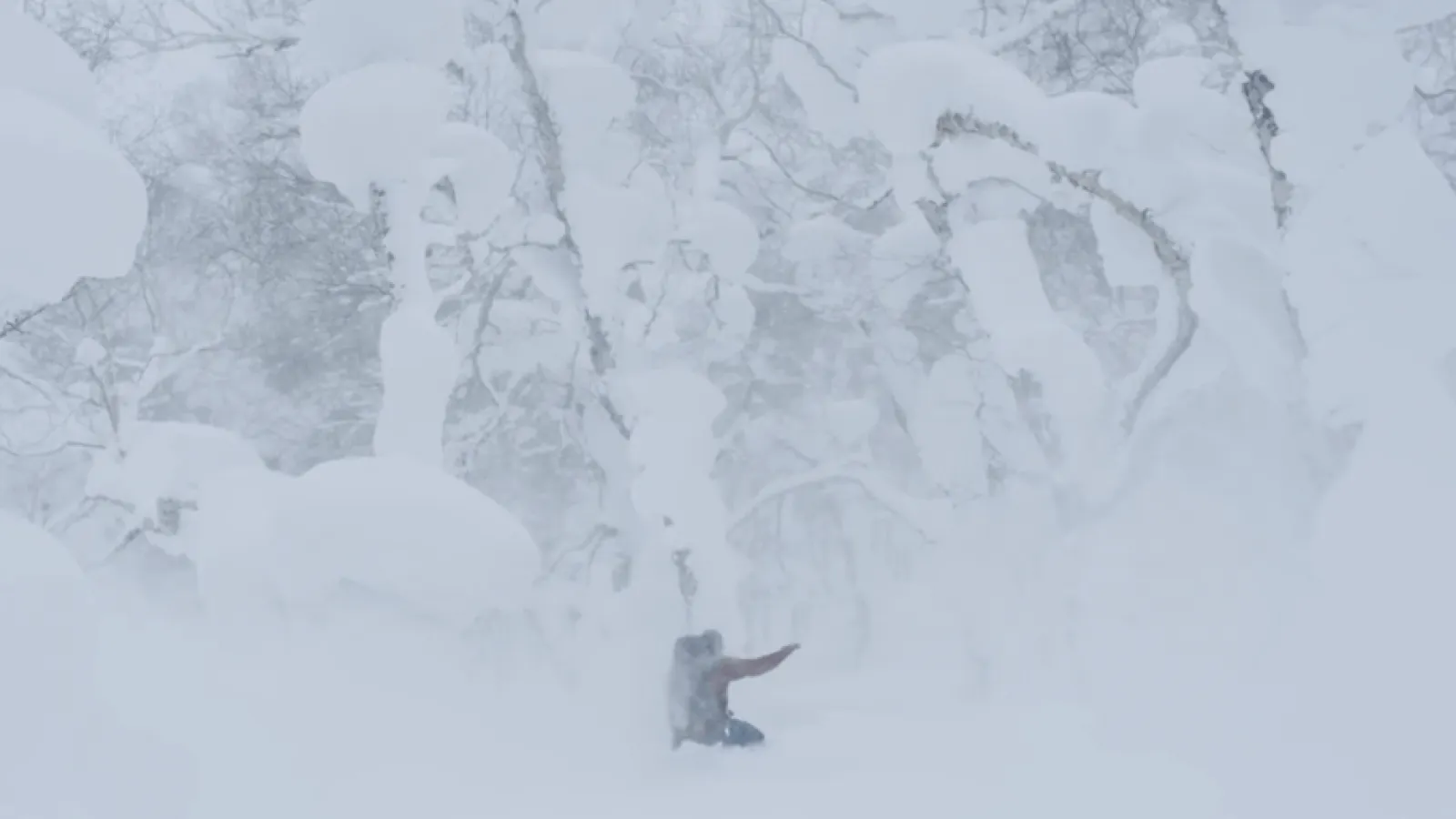 Treeline Video Thumbnail