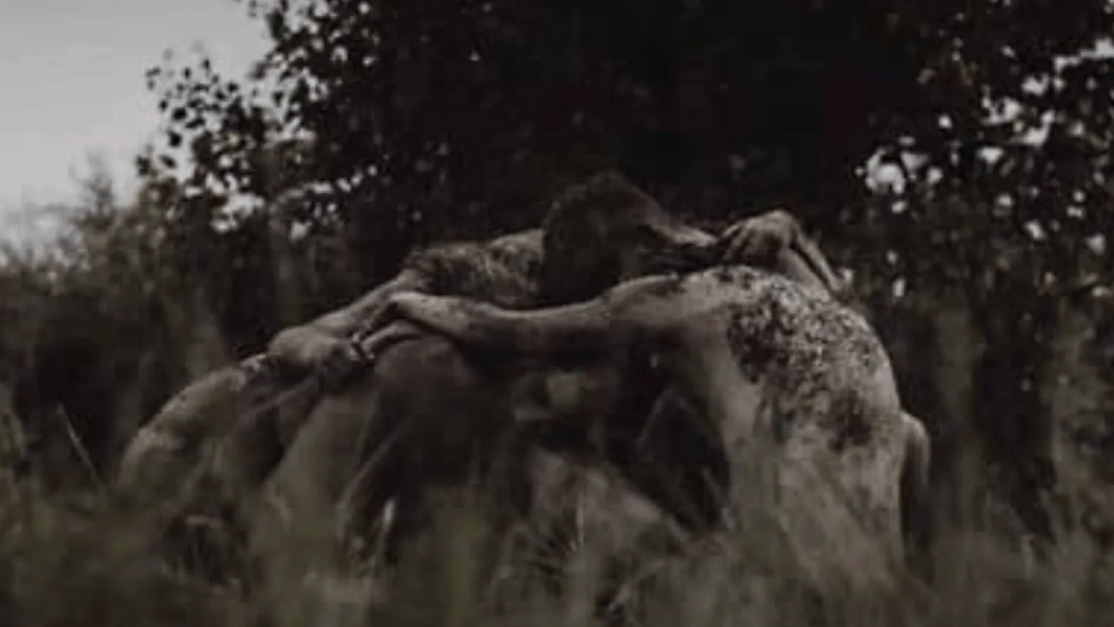 Umasan Video Thumbnail