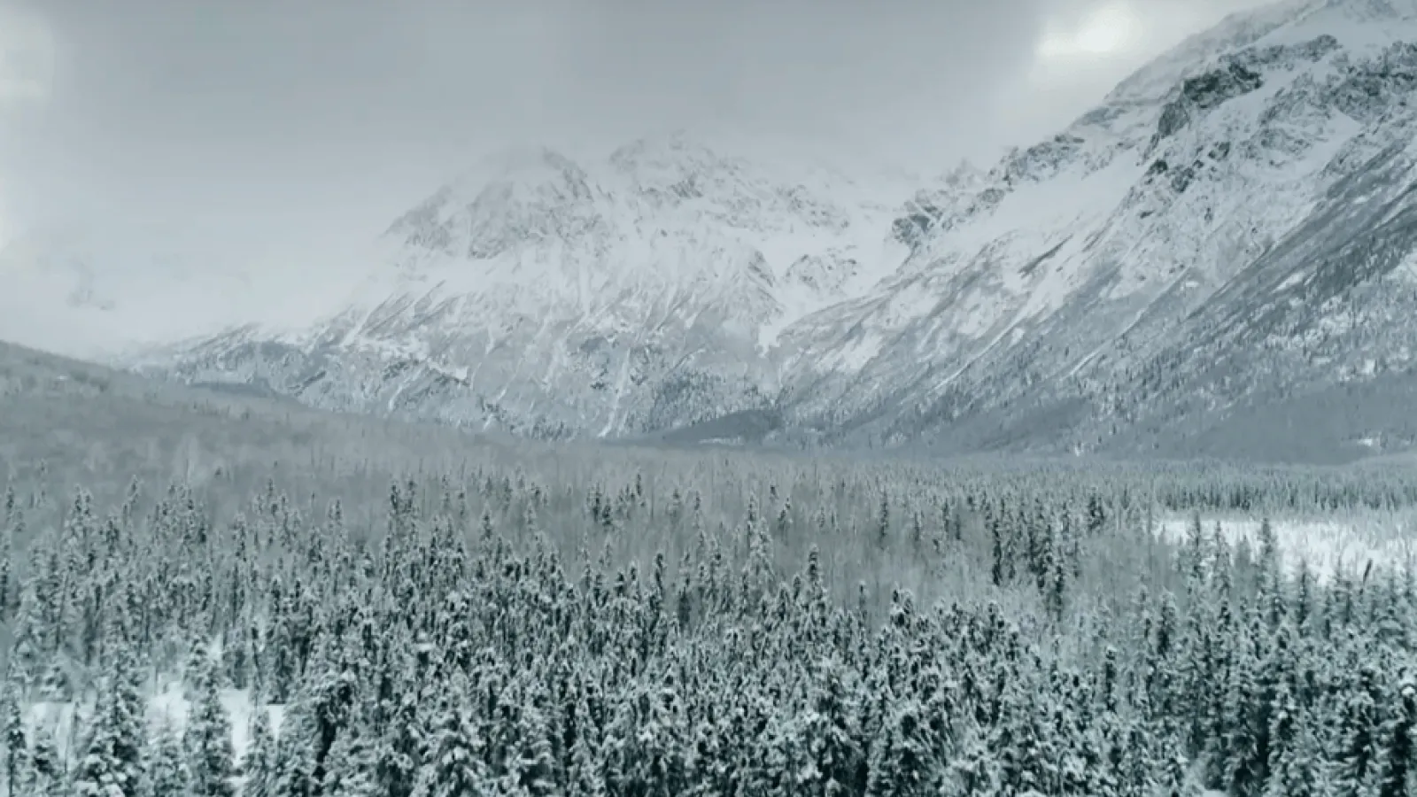 Alaska: A Year In the Wild Video Thumbnail