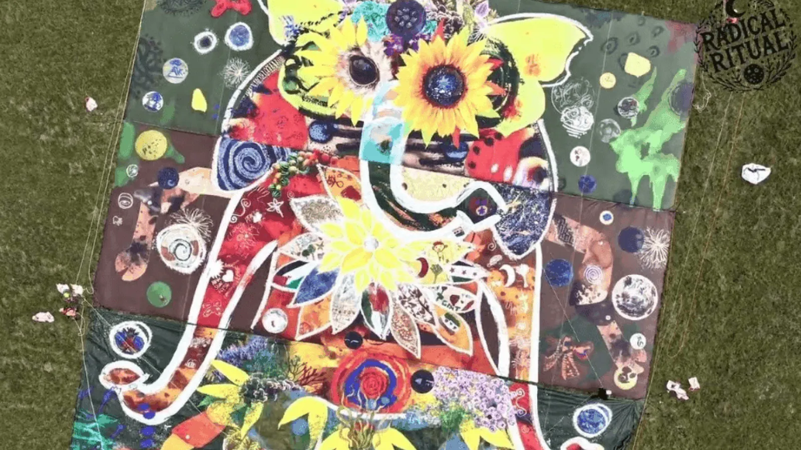 Dorset National Landscape: Consequences Video Thumbnail