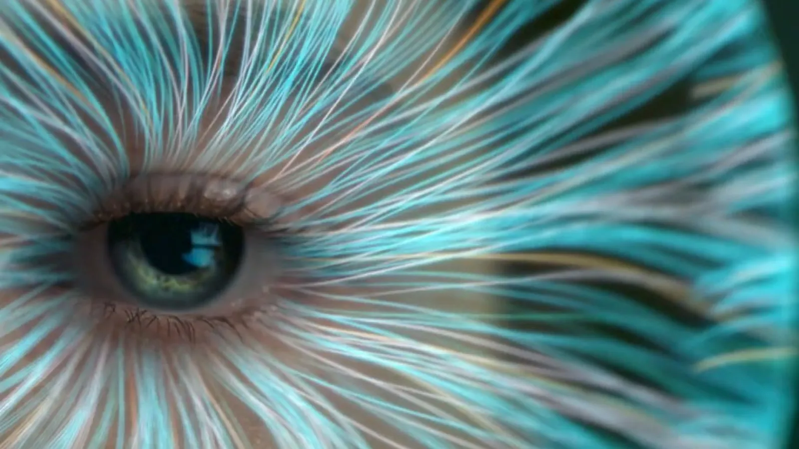 Children's Hospital Colorado - Defying the Odds Video Thumbnail