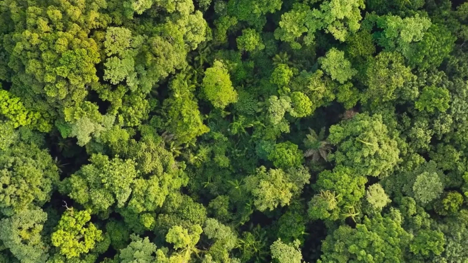 Ecolab - The Power of Water Video Thumbnail