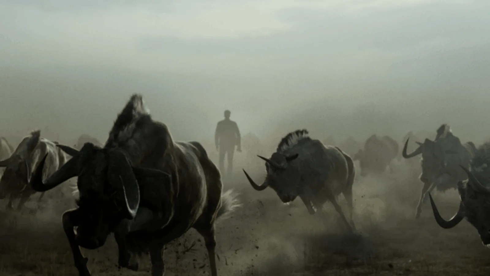 Sony Alpha 7 Video Thumbnail