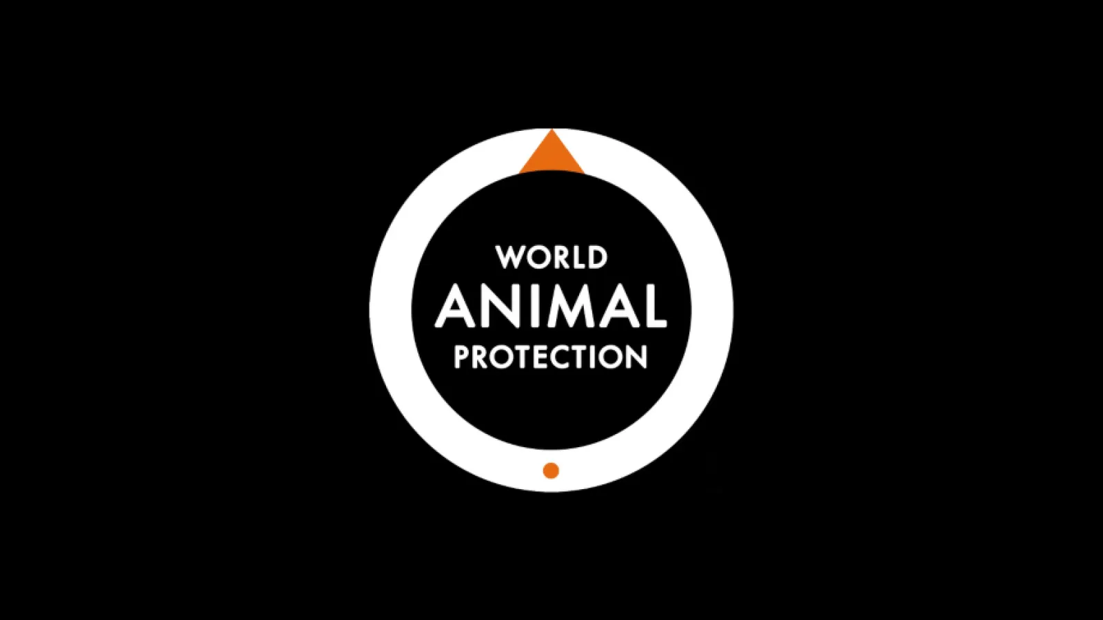 World Animal Protection Project Video Thumbnail