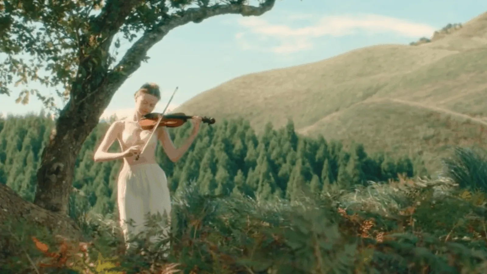 Wacoal | Japan Video Thumbnail