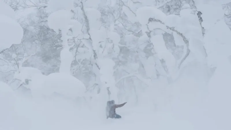 Treeline Video Thumbnail