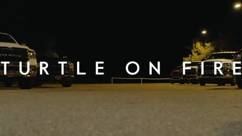 Turtle On Fire Video Thumbnail